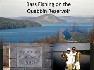 Bass Fishing on the
Quabbin Reservoir
 
