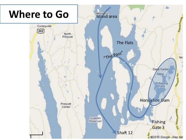 Quabbin bass