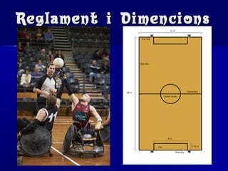 Reglament i DimencionsReglament i Dimencions
 