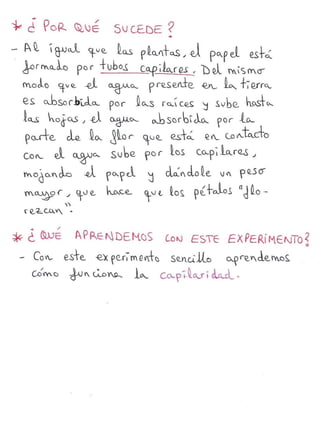 Quadern d'experiments 17/18