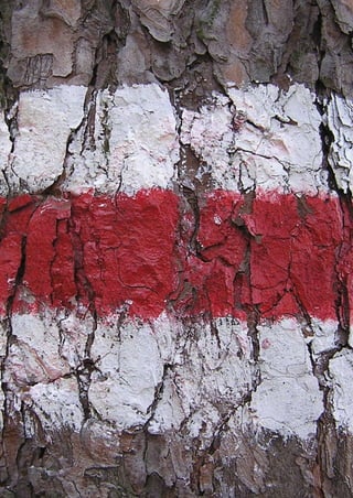 Regione Emilia-Romagna | i quaderni della partecipazione

1 Premessa

|

186

 