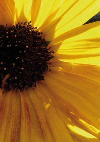 Regione Emilia-Romagna | i quaderni della partecipazione

1 Premessa

|

76

 