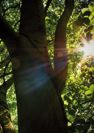 Regione Emilia-Romagna | i quaderni della partecipazione

1 Premessa

|

79

 