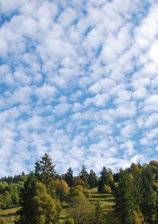 Regione Emilia-Romagna | i quaderni della partecipazione

1 Premessa

|

98

 