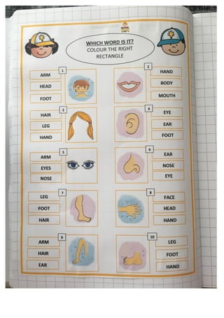 Quaderno di inglese classe prima