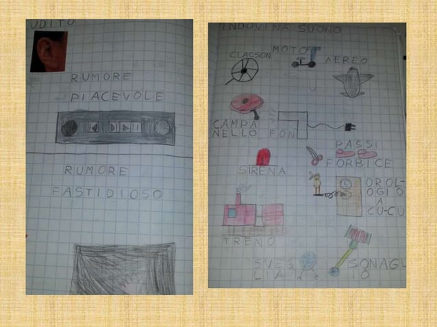 Quaderno Di Scienze Pptx