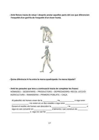 - Amb fletxes tracta de situar i després anotar aquelles parts del cos que diferencien
l'esquelet d'un goril·la de l'esquelet d'un ésser humà.
- Quina diferència hi ha entre la marxa quadrúpeda i la marxa bípeda?
- Amb les paraules que tens a continuació tracta de completar les frases:
NÒMADES – SEDENTARIS – PRODUCTORS – DEPREDADORS- RECOL·LECCIÓ-
AGRICULTURA – RAMADERIA – PRIMERS POBLATS – CAÇA.
Al paleolític els homes vivien de la _____________i la_____________ o sigui eren
_______________ i no vivien en un lloc estable o sigui eren ____________________.
Durant el neolític els homes van descobrir la ______________ i la ______________ o
sigui es van convertir en ________________ d’aliments i van construir els _________
________________ o sigui es van fer _________________.
17
 