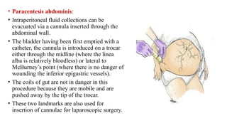 quadrant and regions of the abdomen for biomedical students | PPTX