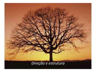 Direção e estrutura
 