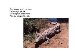 Oea aponte aqui no mapa.  Caro amigo  jacare,  Essas aguas onde mora Para eu não por la o pe. 