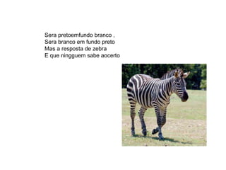 Sera pretoemfundo branco , Sera branco em fundo preto Mas a resposta de zebra E que ningguem sabe aocerto 