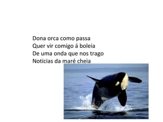Dona orca como passa Quer vir comigo á boleia De uma onda que nos trago  Noticias da maré cheia  