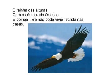 É rainha das alturas Com o céu colado ás asas E por ser livre não pode viver fechda nas casas. 