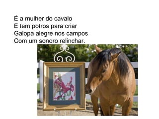É a mulher do cavalo  E tem potros para criar  Galopa alegre nos campos Com um sonoro relinchar.  