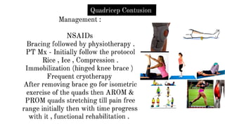 Quadricep Contusion
Management :
NSAIDs
Bracing followed by physiotherapy .
PT Mx - Initially follow the protocol
Rice , Ice , Compression .
Immobilization (hinged knee brace )
Frequentcryotherapy
After removing brace go for isometric
exercise of the quads then AROM &
PROM quads stretching till pain free
range initially then with time progress
with it , functional rehabilitation .
 