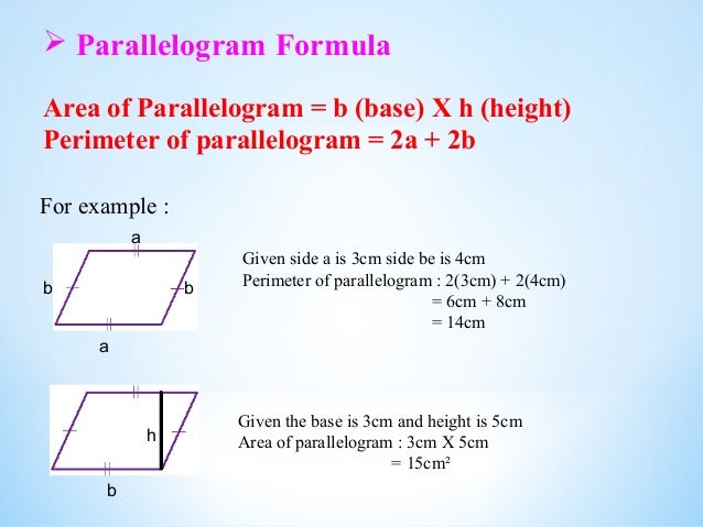 Perimeter rectangles mathworksheets4kids homeschooldressage Quadrilateral presentation