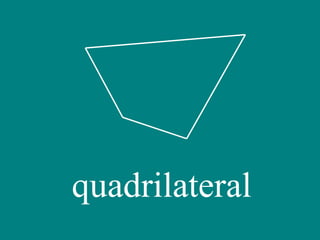 quadrilateral 
