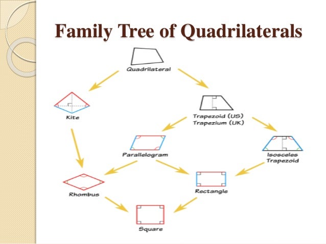 Quadrilaterals