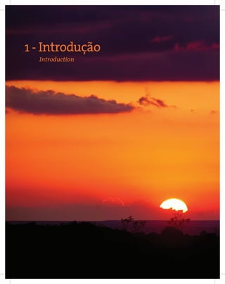 12
Entendendo a Mineração no Quadrilátero Ferrífero
Understanding Mining around the Quadrilatero Ferrifero
Introduction
1 - Introdução
 
