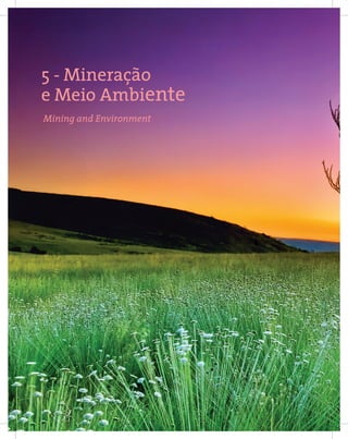 56
Entendendo a Mineração no Quadrilátero Ferrífero
Understanding Mining around the Quadrilatero Ferrifero
5 - Mineração
e Meio Ambiente
Mining and Environment
 