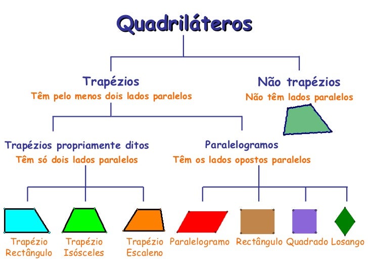 Quadriláteros
