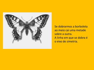 Se dobrarmos a borboleta ao meio cai uma metade sobre a outra. A linha em que se dobra é o eixo de simetria.