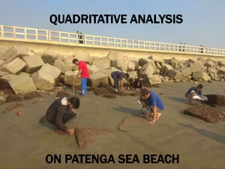 QUADRITATIVE ANALYSIS
ON PATENGA SEA BEACH
 