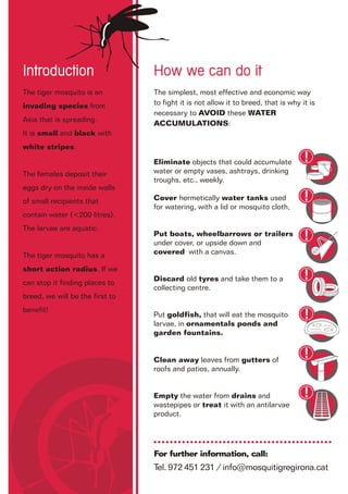 Quadríptic mosquit tigre | PDF