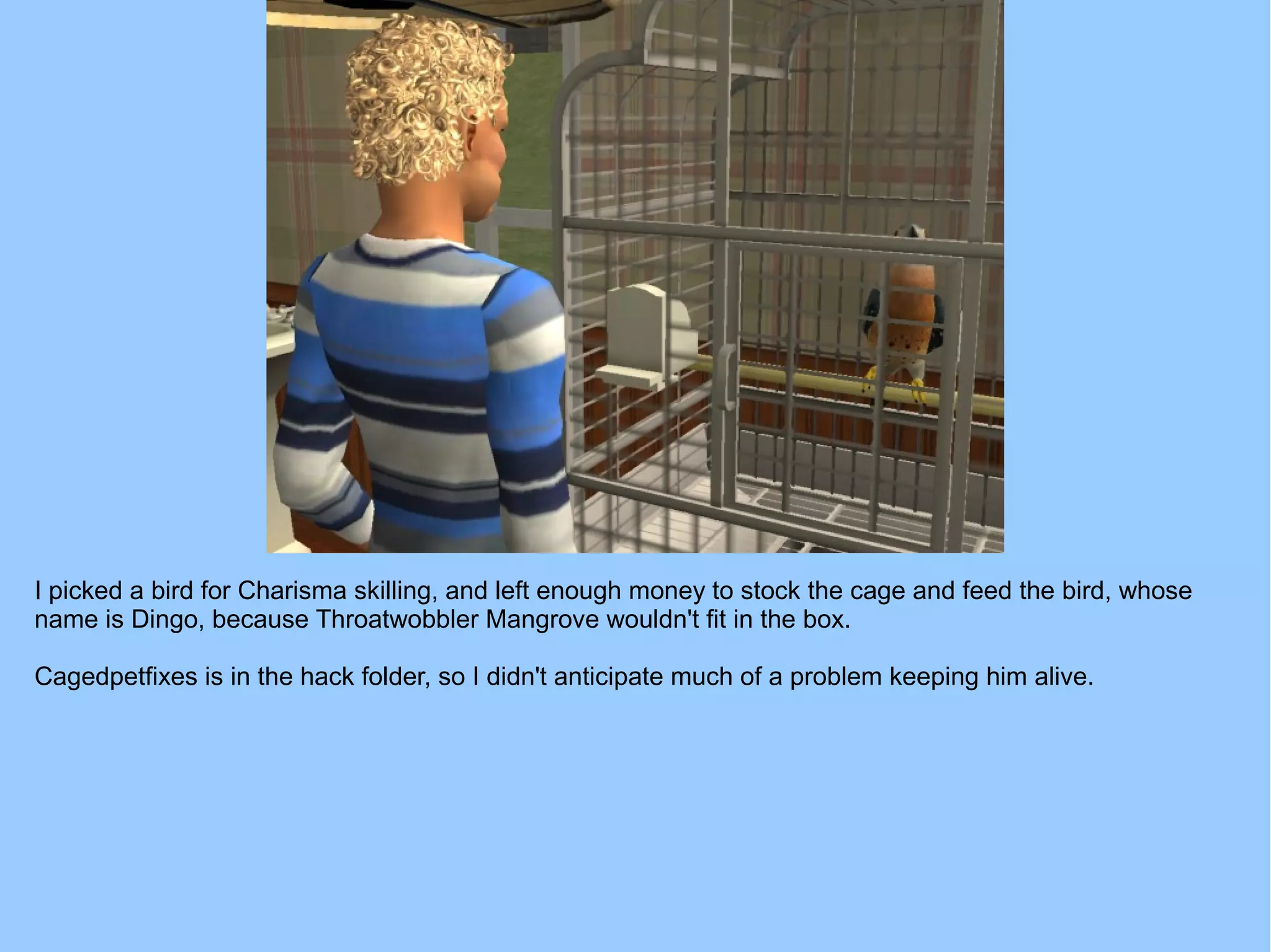 I picked a bird for Charisma skilling, and left enough money to stock the cage and feed the bird, whose
name is Dingo, because Throatwobbler Mangrove wouldn't fit in the box.
Cagedpetfixes is in the hack folder, so I didn't anticipate much of a problem keeping him alive.
 