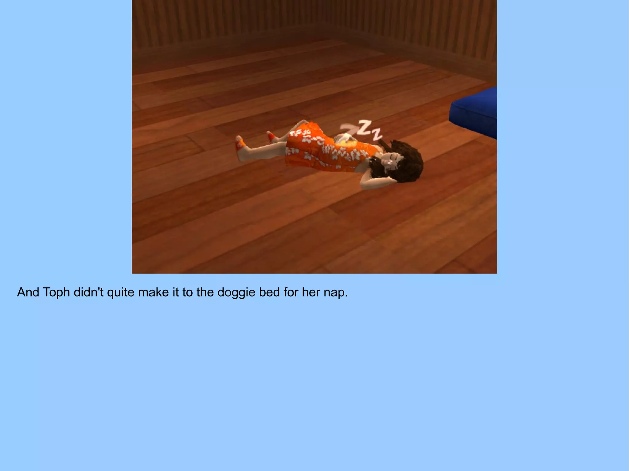 And Toph didn't quite make it to the doggie bed for her nap.
 