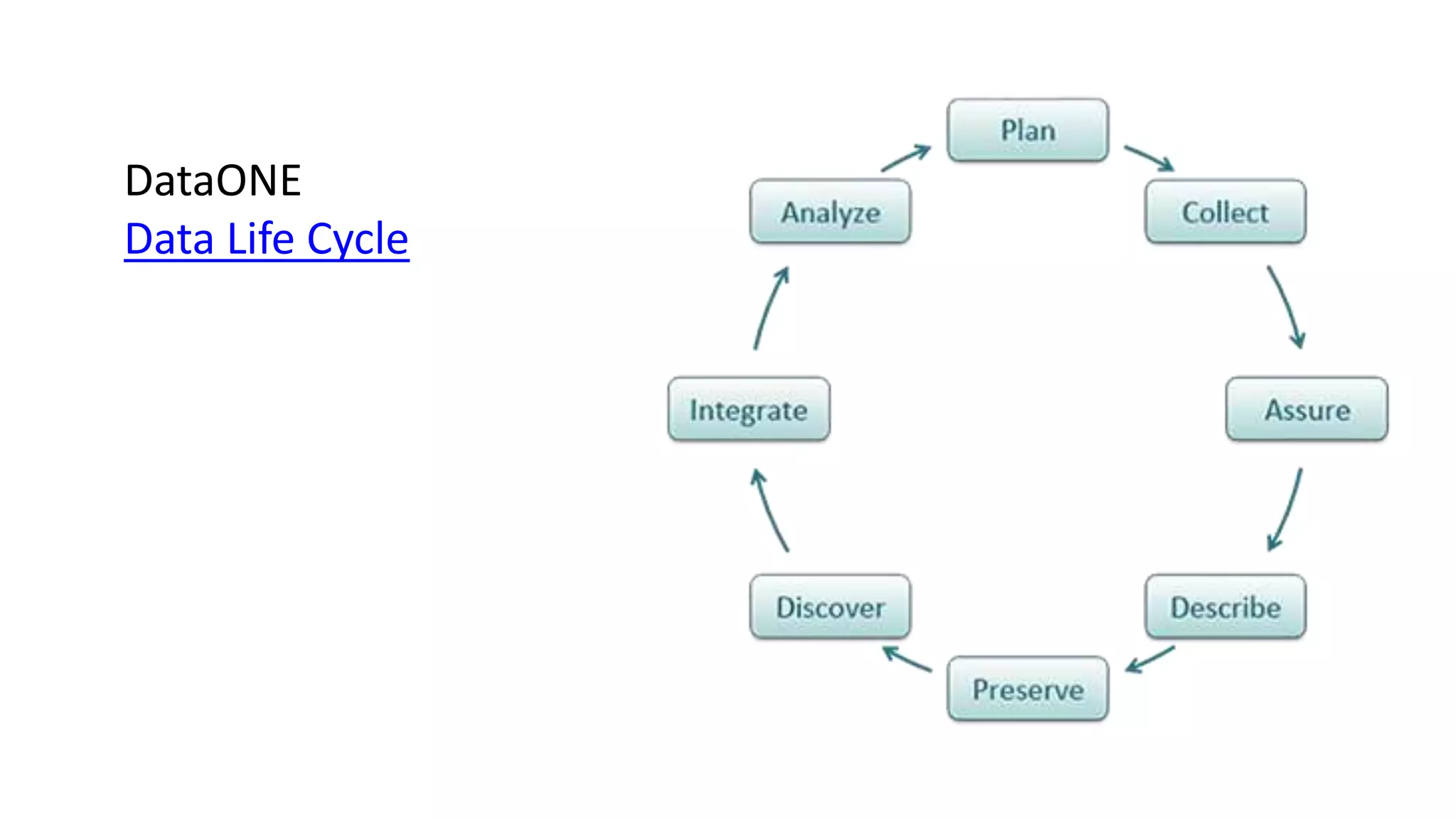 DataONE
Data Life Cycle
 