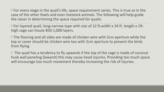 For every stage in the quail’s life, space requirement varies. This is true as in the
case of the other fowls and even livestock animals. The following will help guide
the raiser in determining the space required for quails:
For layered quail, long-narrow type with size of 12 ft.width x 24 ft. length x 1ft.
high cage can house 850-1,000 layers.
The flooring and all sides are made of chicken wire with 5cm aperture while the
top or cover should be chicken wire too with 2cm aperture to prevent the birds
from flying.
 The quail has a tendency to fly upwards if the top of the cage is made of coconut
husk wall paneling (lawanit) this may cause head injuries. Providing too much space
will encourage too much movement thereby increasing the risk of injuries.
 
