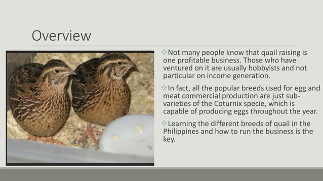 Quail-Production-and-Management-extension.pptx