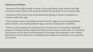 3.Removal of Wastes
Because of the high protein content of the quail feeds, quail manure has high
ammonia content which will cause discomfort for the birds if not removed daily.
Removal of the manure can be facilitated by placing a manure receptacle or
receiver under the cage.
The common ways of handling manure from the cages are use of polyethylene
plastic sheets; use of polprophylene bags; and use of plywood or hardiflex.
Manure can be dispose by stocking in the manure barn to be sold to vegetable
grower or fishpond owner, disposal of manure and clean or soak sacks on riverbanks
and streams as fish feeds and dumping into drainage system going to river stream.
Biosecurity is very important as handling waste disposal as bacteria, virus, parasites
are present.
 