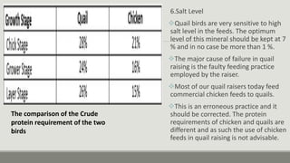 6.Salt Level
Quail birds are very sensitive to high
salt level in the feeds. The optimum
level of this mineral should be kept at 7
% and in no case be more than 1 %.
The major cause of failure in quail
raising is the faulty feeding practice
employed by the raiser.
Most of our quail raisers today feed
commercial chicken feeds to quails.
This is an erroneous practice and it
should be corrected. The protein
requirements of chicken and quails are
different and as such the use of chicken
feeds in quail raising is not advisable.
The comparison of the Crude
protein requirement of the two
birds
 