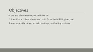 Objectives
At the end of this module, you will able to:
1. identify the different breeds of quails found in the Philippines; and
2. enumerate the proper steps in starting a quail raising business.
 