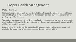 Proper Health Management
Module Overview:
Quail, unlike some other fowl, are not delicate birds. They can be raised in any suitable and
comfortable place in the house. The birds do not easily contract fowl diseases common to
poultry, especially chickens.
Vaccination is not needed and the drugs usually given to chicken do not have to be added to
quail feed or drinking water. However, should any disease outbreak occur, the drugs used for
chicken can be administered.
In this module, let us discuss the proper health management to help us understand and
minimize the occurrence of common pests and diseases in quail raising.
 