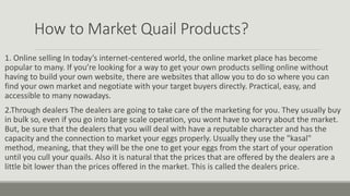 How to Market Quail Products?
1. Online selling In today’s internet-centered world, the online market place has become
popular to many. If you’re looking for a way to get your own products selling online without
having to build your own website, there are websites that allow you to do so where you can
find your own market and negotiate with your target buyers directly. Practical, easy, and
accessible to many nowadays.
2.Through dealers The dealers are going to take care of the marketing for you. They usually buy
in bulk so, even if you go into large scale operation, you wont have to worry about the market.
But, be sure that the dealers that you will deal with have a reputable character and has the
capacity and the connection to market your eggs properly. Usually they use the "kasal"
method, meaning, that they will be the one to get your eggs from the start of your operation
until you cull your quails. Also it is natural that the prices that are offered by the dealers are a
little bit lower than the prices offered in the market. This is called the dealers price.
 