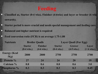 Quail farming | PPT