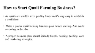 How to Start Quail Farming Business?
• As quails are smaller sized poultry birds, so it’s very easy to establish
a quail farm.
• Make a proper quail farming business plan before starting. And work
according to the plan.
• A proper business plan should include breeds, housing, feeding, care
and marketing strategies.
 