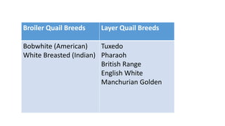 Broiler Quail Breeds Layer Quail Breeds
Bobwhite (American)
White Breasted (Indian)
Tuxedo
Pharaoh
British Range
English White
Manchurian Golden
 