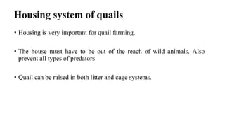 Housing system of quails
• Housing is very important for quail farming.
• The house must have to be out of the reach of wild animals. Also
prevent all types of predators
• Quail can be raised in both litter and cage systems.
 