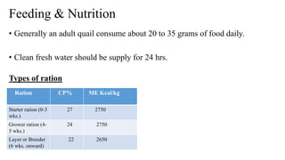 Feeding & Nutrition
• Generally an adult quail consume about 20 to 35 grams of food daily.
• Clean fresh water should be supply for 24 hrs.
Types of ration
Ration CP% ME Kcal/kg
Starter ration (0-3
wks.)
27 2750
Grower ration (4-
5 wks.)
24 2750
Layer or Breeder
(6 wks. onward)
22 2650
 