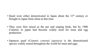 • Quail were either domesticated in Japan about the 11th century or
brought to Japan from china at that time.
• They were first raised as the pet and singing birds, but by 1900
Coturnix in japan had become widely used for meat and egg
production.
• Japanese quail (Cotumix coturnix japonica) is the domesticated
species widely reared throughout the world for meat and eggs.
 