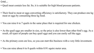 Cntd….
• Quail meat contain less fat. So, it is suitable for high blood pressure patients.
• Their food to meat or eggs converting efficiency is satisfactory. They can produce one kg
meat or eggs by consuming three kg food.
• You can raise 6 to 7 quails in the same place that is required for one chicken.
• As the quail eggs are smaller in size, so the price is also lower than other bird’s egg. As a
result, all types of people can buy quail eggs and you can easily sell the eggs.
• As the primary costs are less, so you can start this business with a very little investment.
• You can raise about 6 to 8 quails within 0.91 squire meter area.
 