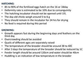 Quail farming by Dr Keerthana | PPTX
