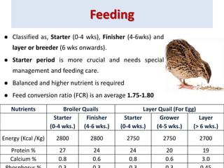 Quail farming by Dr Keerthana | PPTX