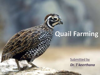 Quail Farming
Submitted by
Dr. T keerthana
 