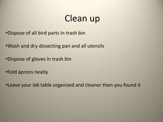 Clean up
•Dispose of all bird parts in trash bin
•Wash and dry dissecting pan and all utensils
•Dispose of gloves in trash bin
•Fold aprons neatly
•Leave your lab table organized and cleaner then you found it

 