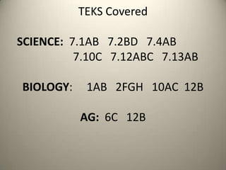 TEKS Covered
SCIENCE: 7.1AB 7.2BD 7.4AB
7.10C 7.12ABC 7.13AB
BIOLOGY:

1AB 2FGH 10AC 12B
AG: 6C 12B

 